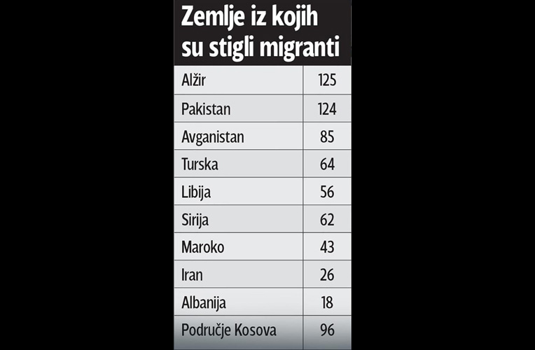 migranti 2
