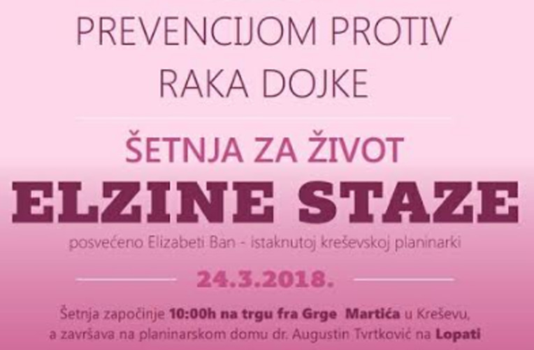 elzine staze 2018