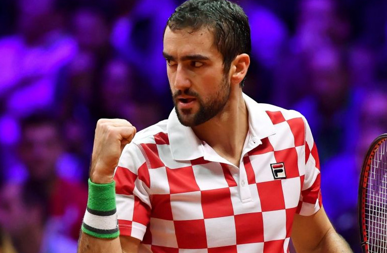 marin cilic davis cup