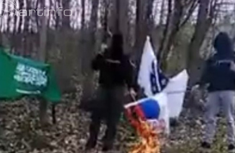islamisti pale srpsku zastavu