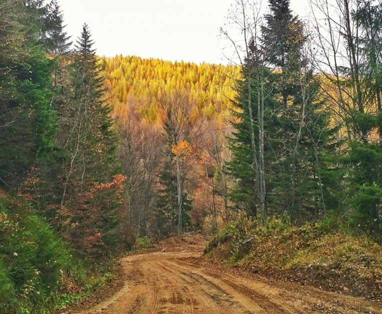 planina busovacka