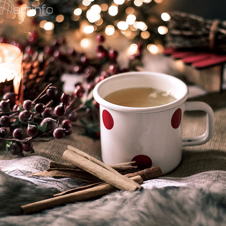 salica zima jesen