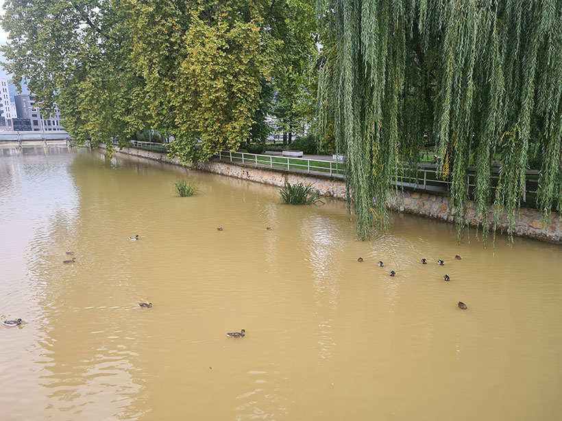 rijeka lep zagadjenje patke