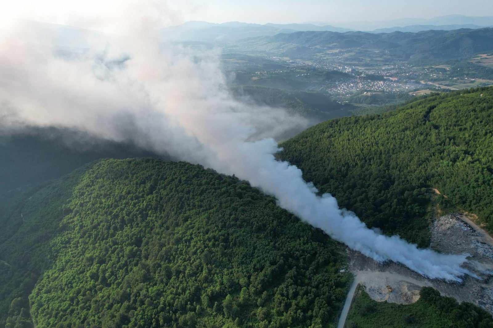 berberusa gorjeka