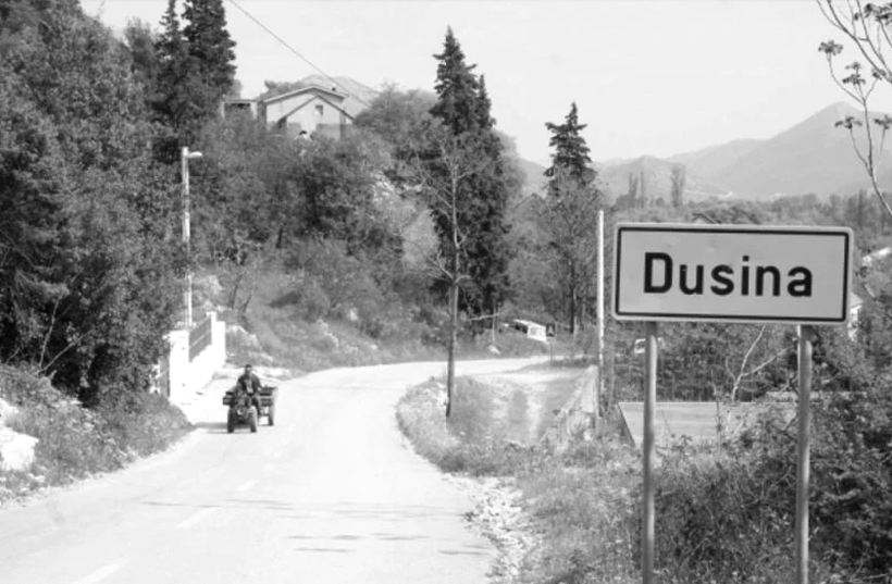 dusinaaa.png