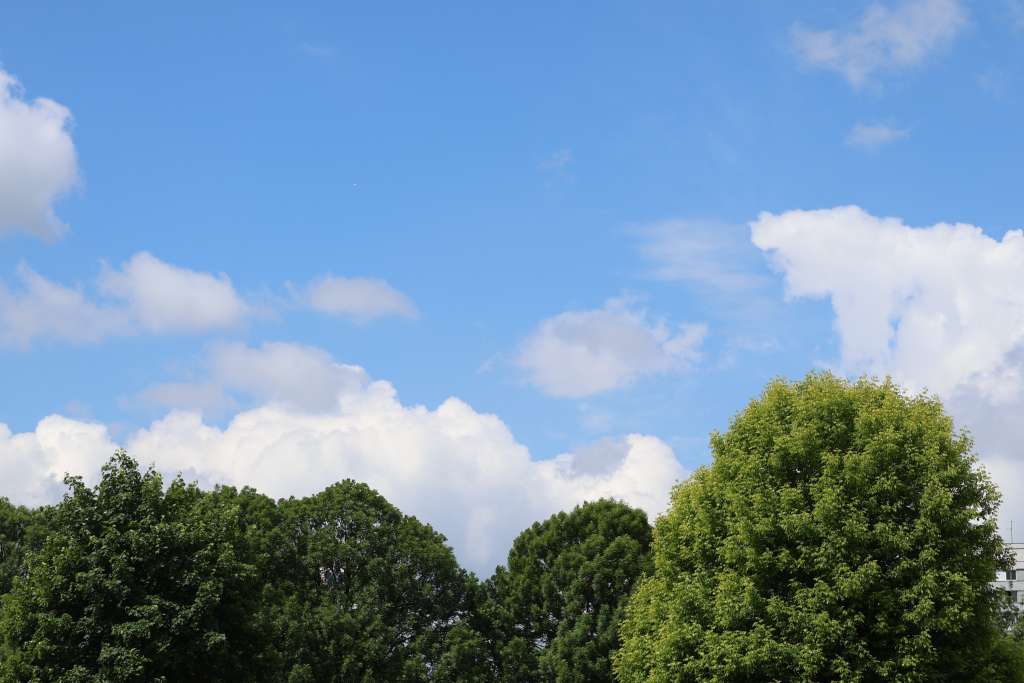 l_35ff1466a6c14d01707eb449466ea177_1.jpeg