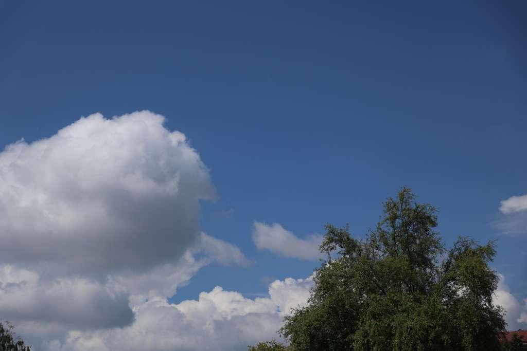 l_fca725094075b0ca68d390031648b13f.jpg