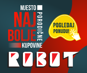 robot 10