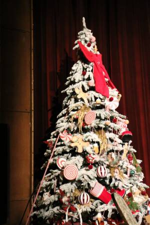 597689431_1442588811208620_4571303263435657099_n_original