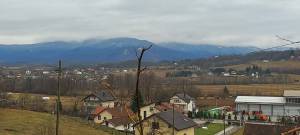 621420518_779013037941179_2472548588967005653_n_original