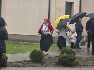 636774319_914456164390767_1365888369397821814_n_original