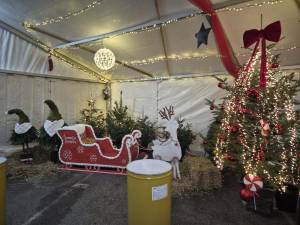 WhatsApp_Image_2025-11-29_at_8.53.34_kress_original