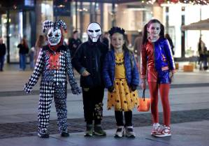 l_2661d9aea5501735b5f1988c7218a70a_original